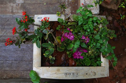 Flower plants are seen grown in a computer monitor shell at E-Parisaraa, an electronic waste recycling company in Dabaspet, India, on Friday, April 22, 2016. (AP Photo/Aijaz Rahi)