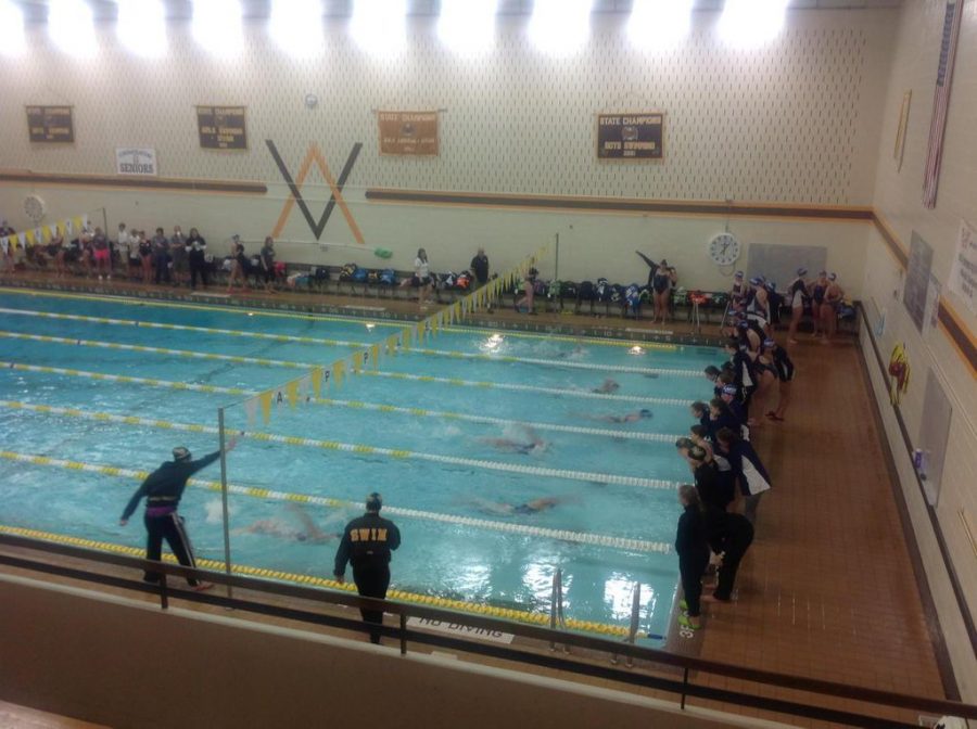 The girls swimmers about to take off