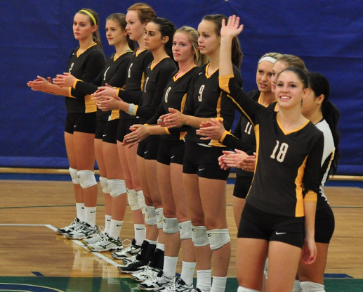 The Apple Valley volleyball team before a match