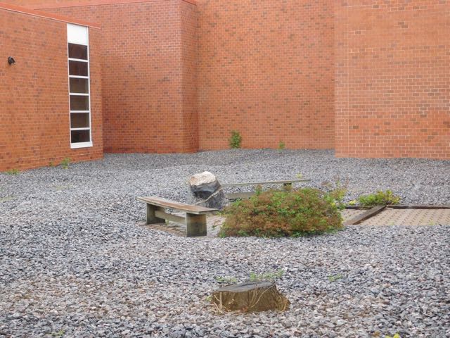 The stone courtyard seems like a strange place to raise your ducklings.