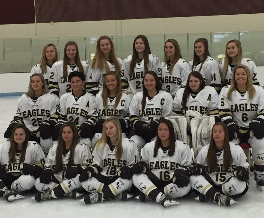 2016-17 Apple Valley Girls Hockey Team