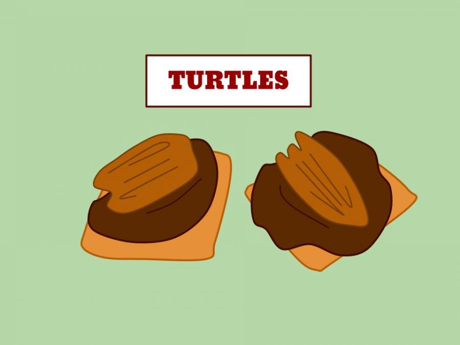 These will be the fastest turtles you've ever seen: not only do they have a quick start-to-finish, but they're also loaded with sugar—a sure way to keep anyone going.