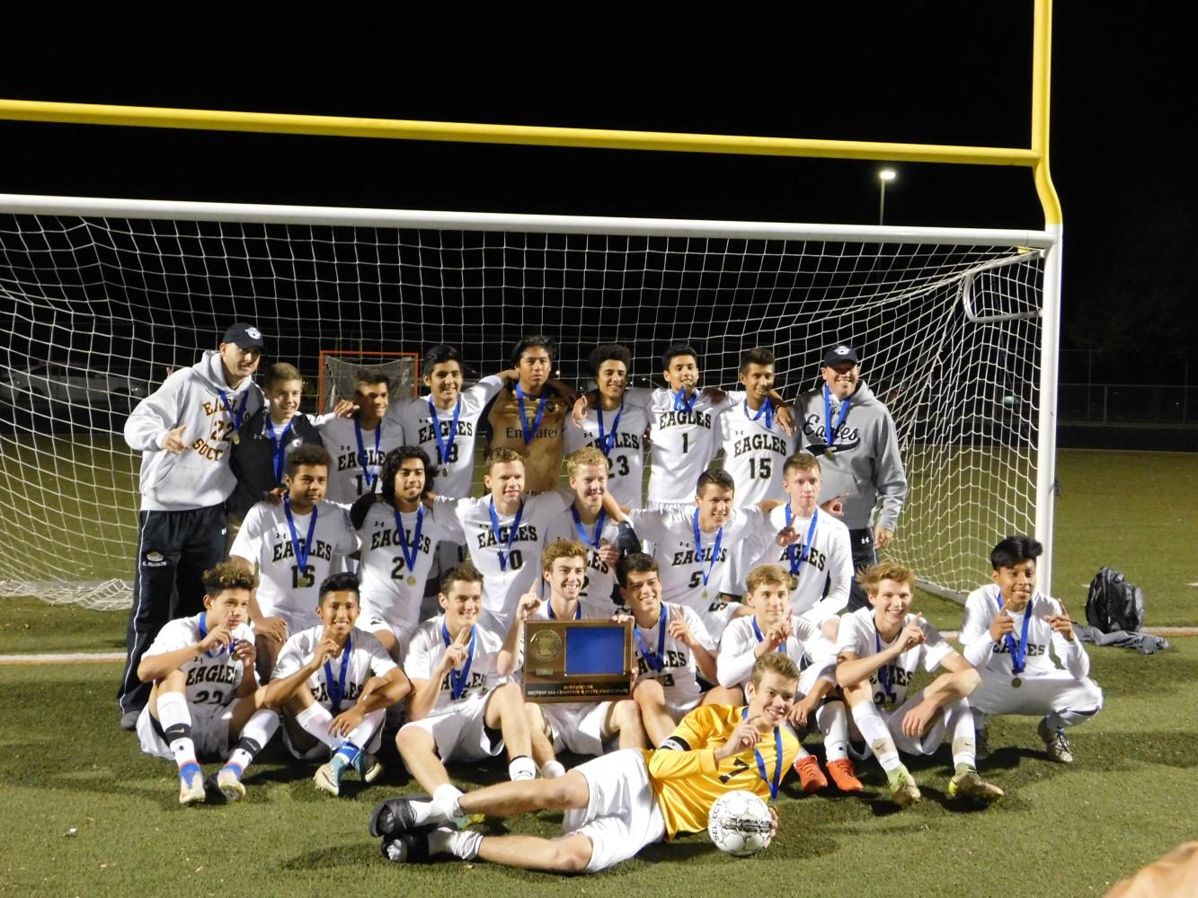 An overtime win over Rosemount vaulted the Eagles to the state tournament.